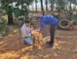 Sorriso imuniza mais de 3 mil animais na zona rural e divulga cronograma dos Dias D de vacinação antirrábica
