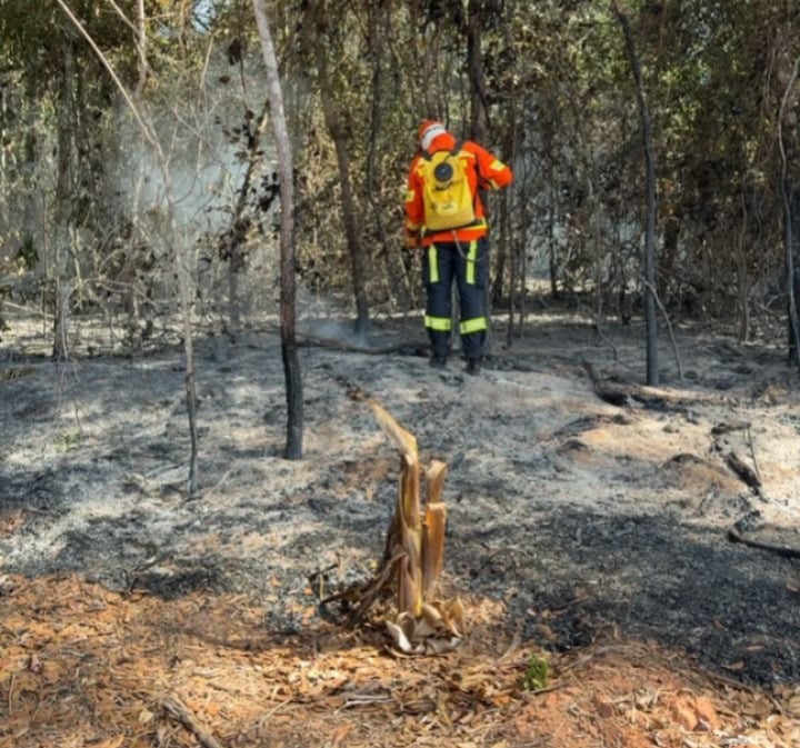 Corpo de Bombeiros extingue incêndio em zona rural de Lucas do Rio Verde