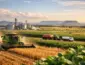 Agronegócio Mato Grosso: o que move a economia