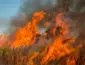 Entenda como o satélite detecta o fogo e o limite de atuação dos Bombeiros nas terras indígenas de Mato Grosso