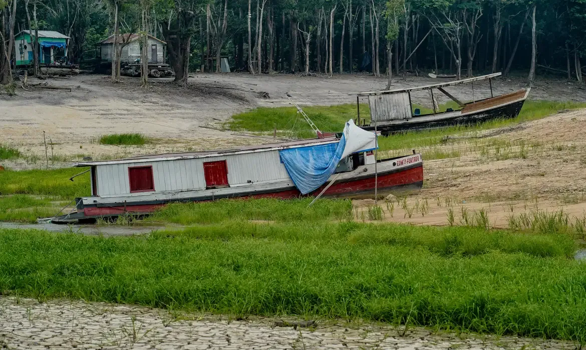 Desertificação ganha destaque na COP17 na Mongólia