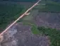 Desmatamento na Amazônia cai ao menor nível desde 2016