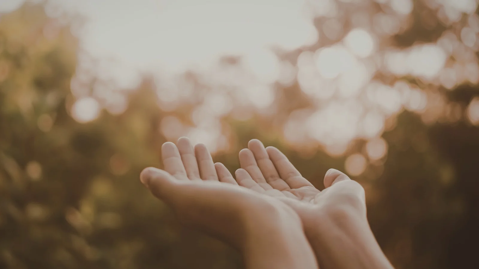 Virada de chave: 4 signos que entram em uma fase de surpresas e alívio profundo