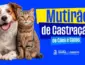 Barra do Garças lança programa para castrar 500 cães e gatos em situação de abandono