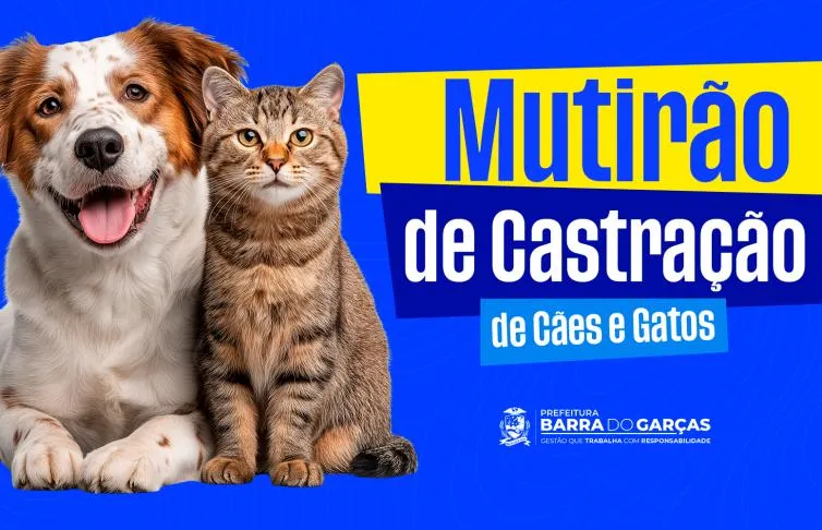 Barra do Garças lança programa para castrar 500 cães e gatos em situação de abandono