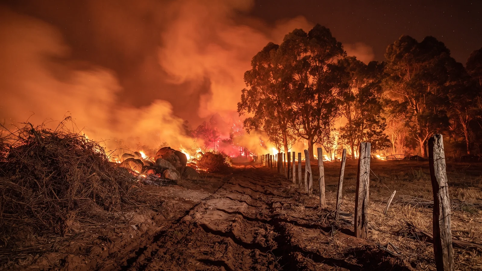 Calor Extremo de Mais de 40°C e El Niño: O Desafio Climático para o Início da Safra 2026/27 no Interior de Mato Grosso