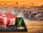 O mapa secreto do boi: Como a carne de Mato Grosso conquistou 88 países e virou âncora global enquanto o vizinho brilha na celulose