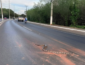 Jiboia atravessa avenida, causa freada brusca e acaba morrendo após acidente em Mato Grosso