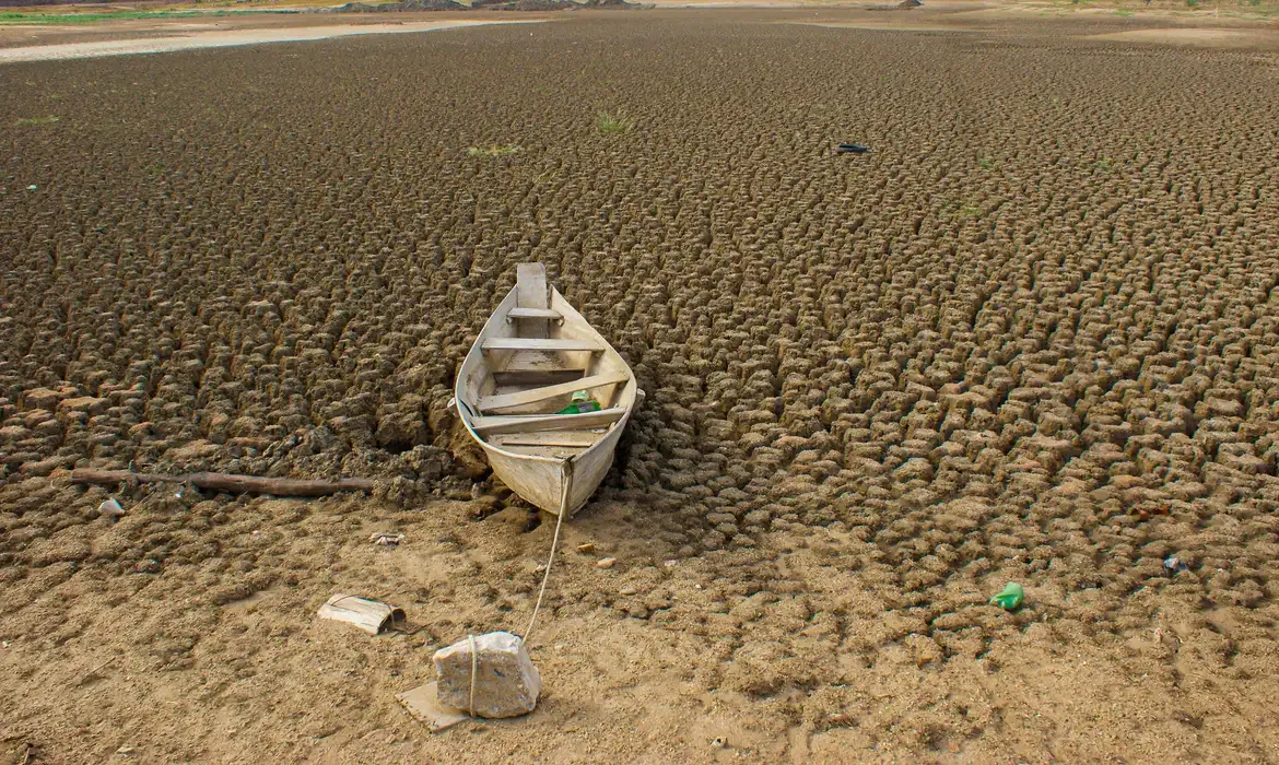 Brasil promete restaurar 163 mil km² até 2030