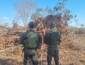 Polícia Militar Ambiental flagra desmatamento ilegal e dano a APP em propriedade rural de Nossa Senhora do Livramento