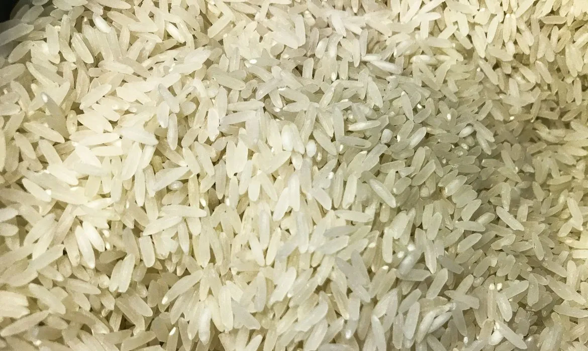 Brasil doará arroz à Colômbia após terremoto