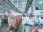 Exportação de carne bovina de Mato Grosso cai em julho com esgotamento da cota de importação da China