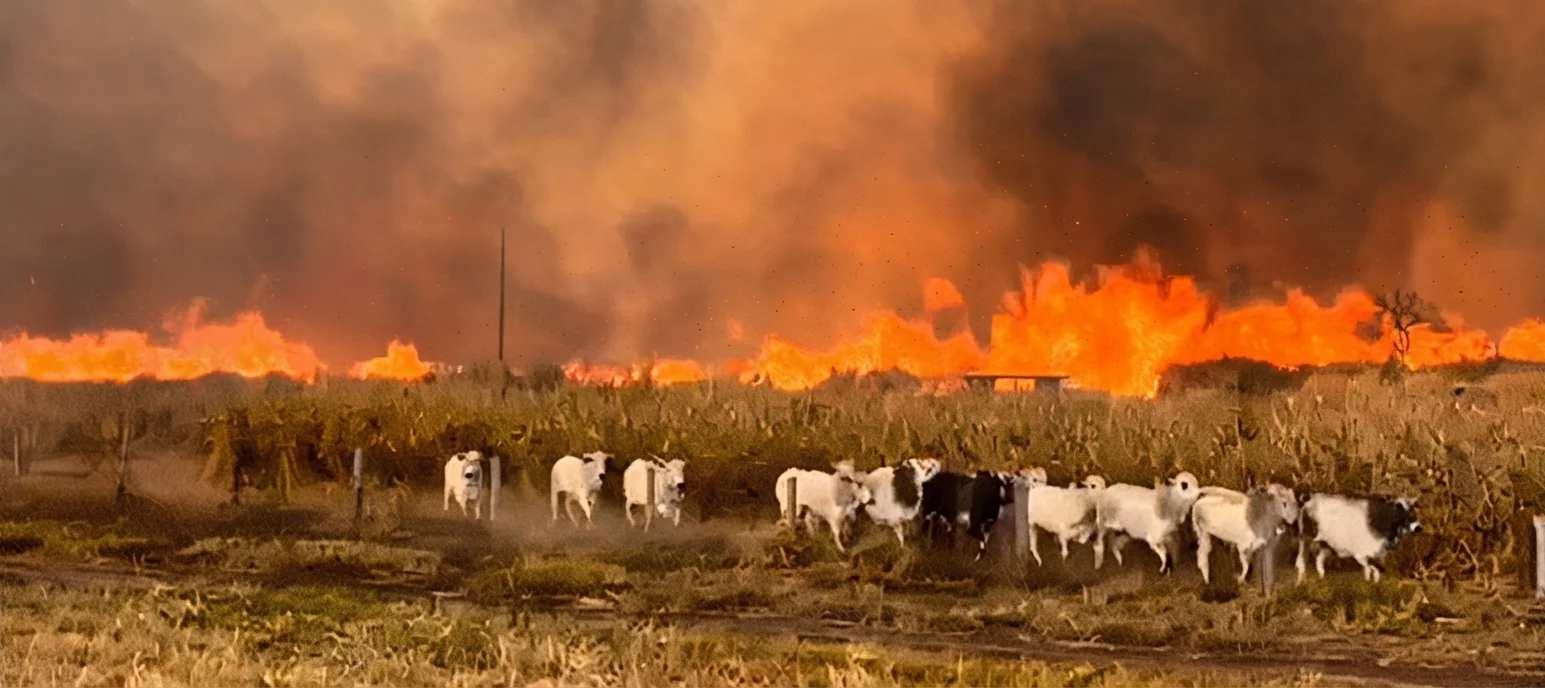 Incêndio de grandes proporções atinge área rural de Jangada e mobiliza equipes com apoio de aeronaves
