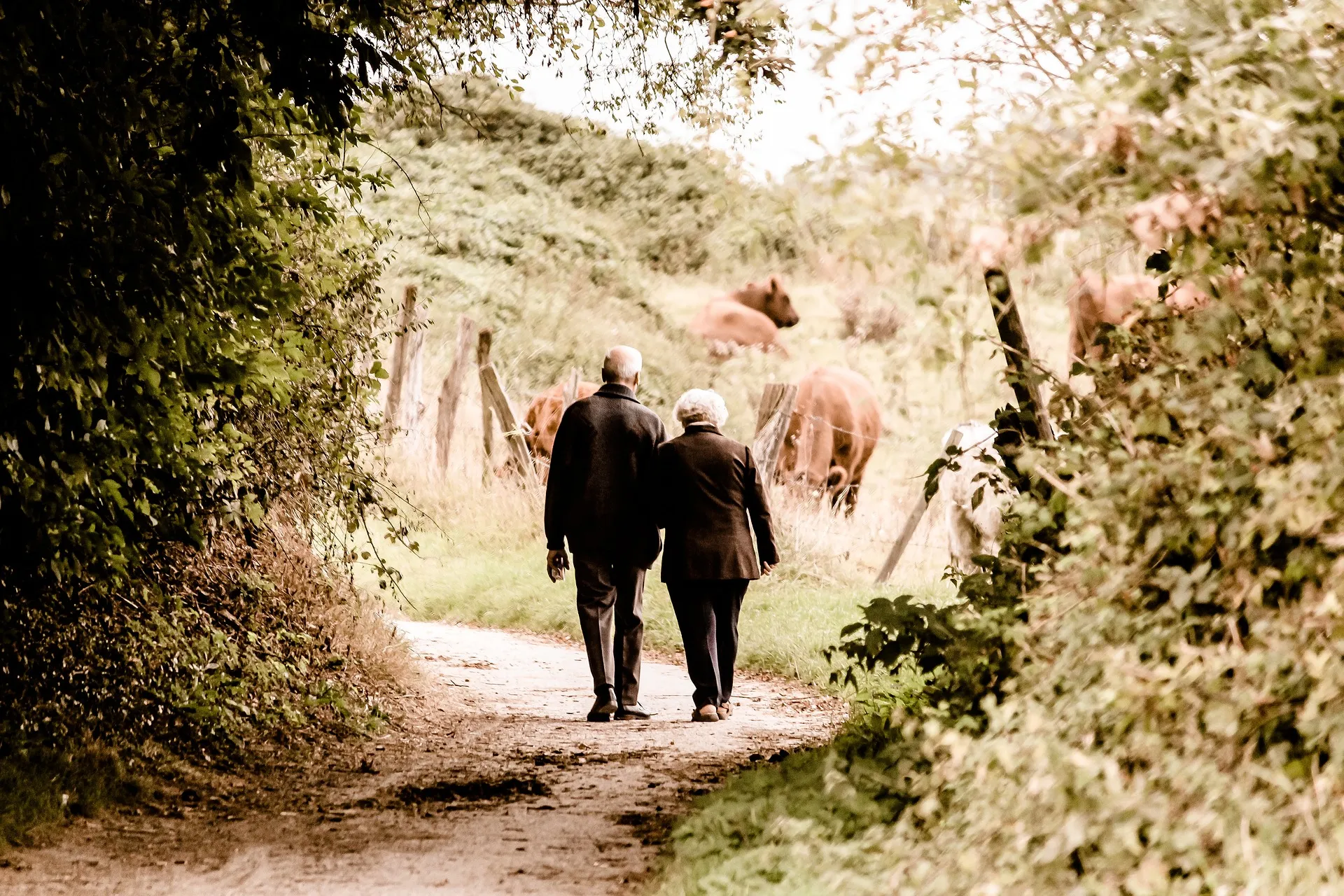 Idosos caminhando