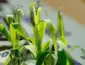 Lei do Bem: Empresas do Agro têm até 31 de Agosto para Reduzir Impostos