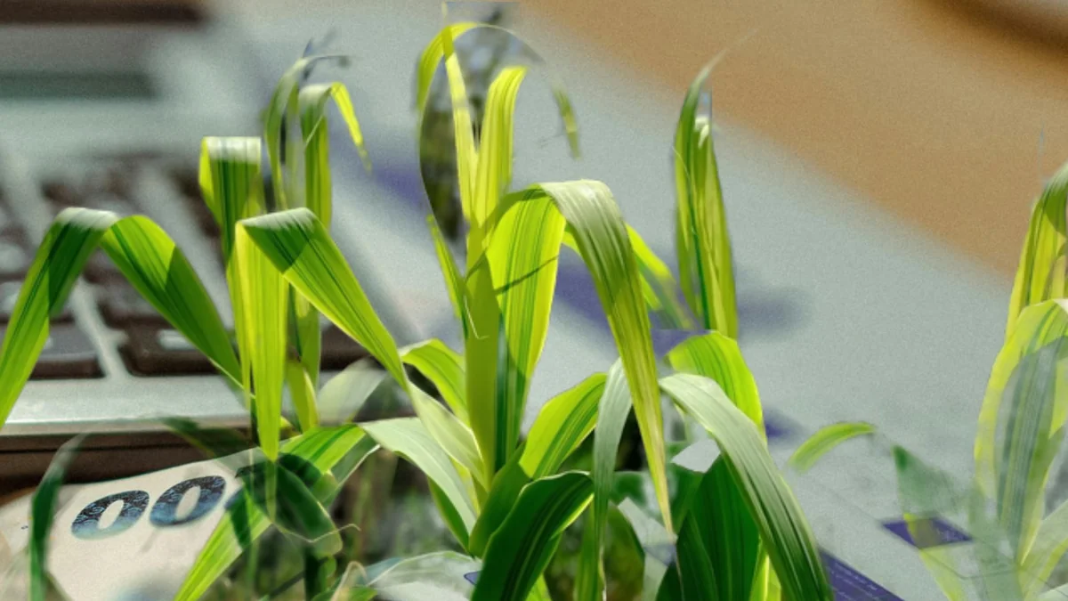 Lei do Bem: Empresas do Agro têm até 31 de Agosto para Reduzir Impostos