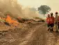 Força-tarefa mobiliza aeronaves e bombeiros para combater 12 focos de incêndio em Mato Grosso