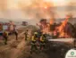 Bombeiros combatem incêndio de grande proporção às margens da MT-130 em Paranatinga; estado registra 227 focos em 24h