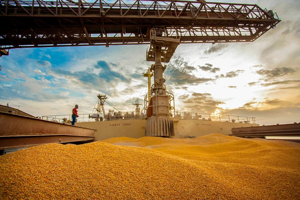 Exportações de milho seguem abaixo de 2025 com atraso da colheita e baixa liquidez