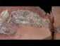 Fóssil de peixe de 254 milhões de anos encontrado em Mato Grosso é classificado como nova espécie e batizado de Leolepis matogrossensis