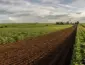 Retorno do El Niño coloca safra 2026/27 de Mato Grosso em alerta devido à irregularidade de chuvas
