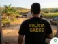 Justiça homologa arquivamento parcial da Operação Safra Desviada para empresário e empresas em Mato Grosso