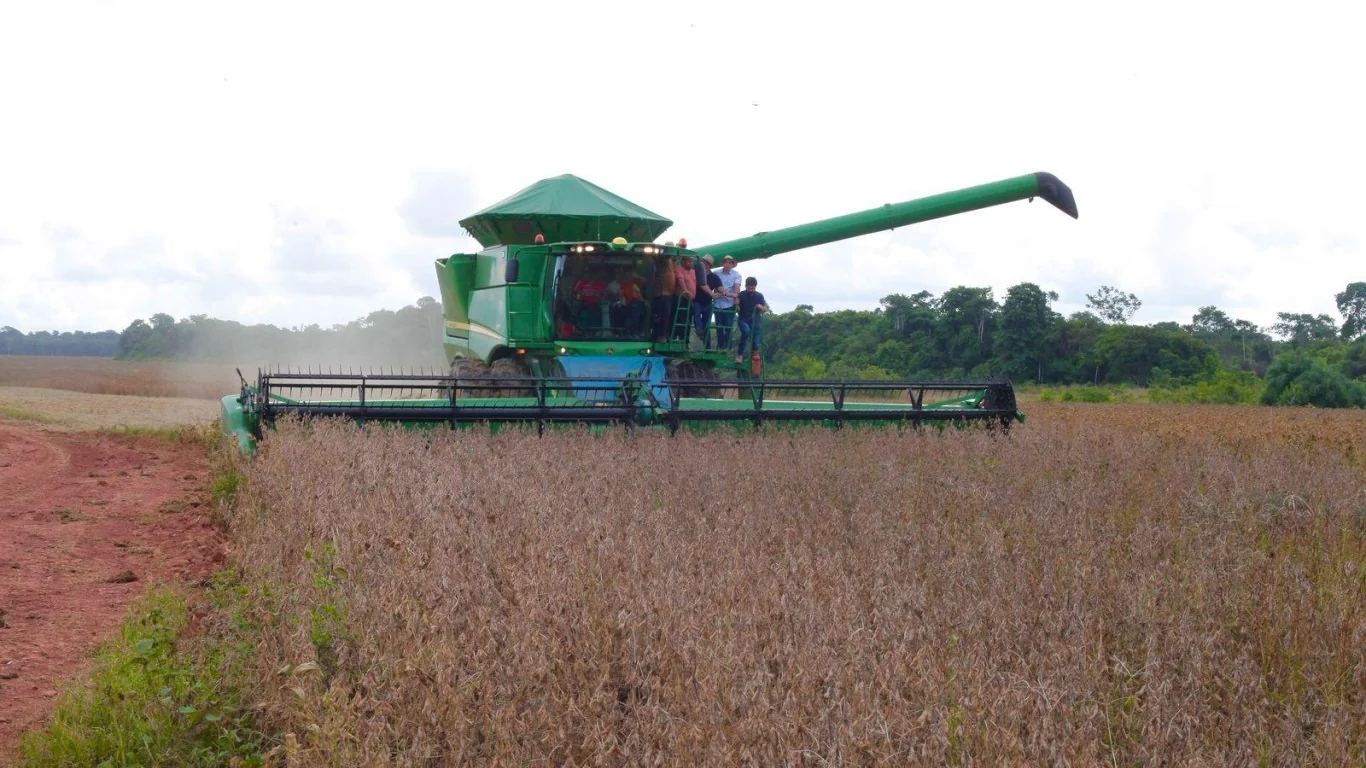 Soja em Mato Grosso: startup revoluciona o melhoramento genético no campo