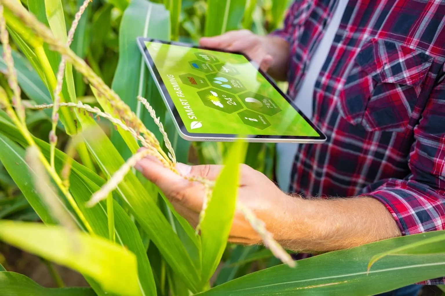 Máquinas com leitura instantânea ganham espaço na preparação da safra em Mato Grosso