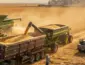 Soja sobe até 10% em Mato Grosso, mas produtores já enxergam desafios para a próxima safra