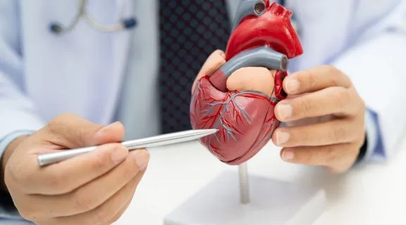 Carteira do cardiopata vira lei em Mato Grosso, mas veto do governo corta preferências e deixa emissão no ‘vácuo’