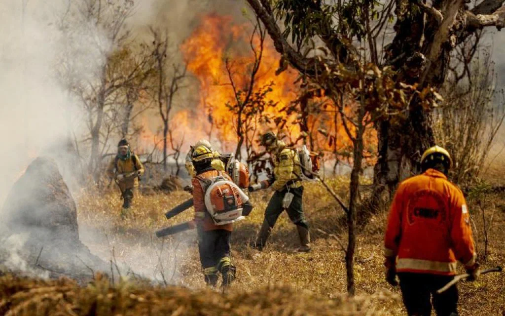 Incêndio florestal