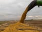 Maior esmagamento de soja em MT eleva exportações de farelo em 10,26% e de óleo em 26,76%, diz Imea