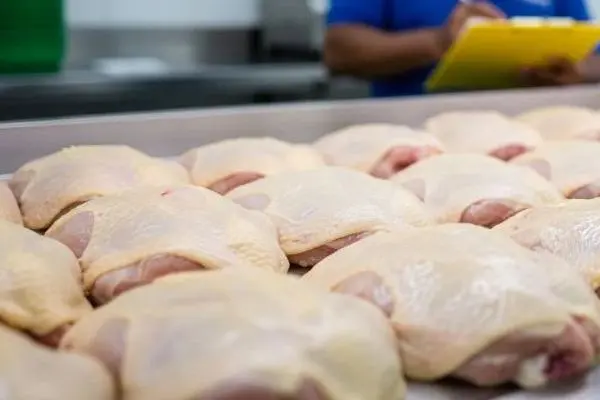 Preço do frango resfriado supera o da carcaça suína pela 1ª vez desde 2004