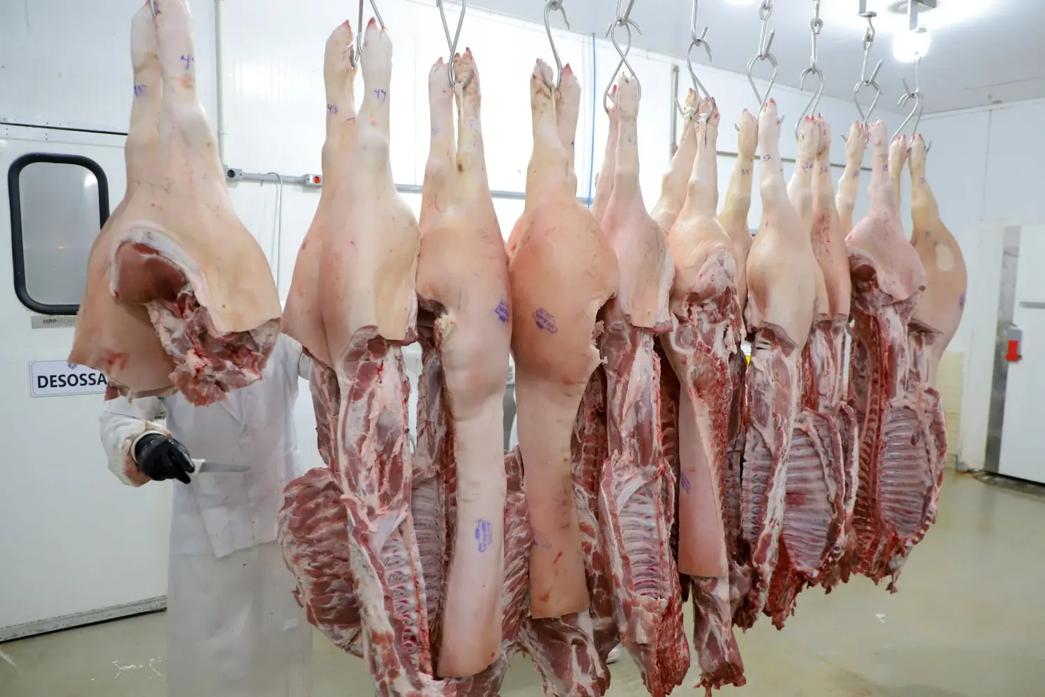 Produção de carnes deve superar 34 milhões de toneladas no Brasil em 2026