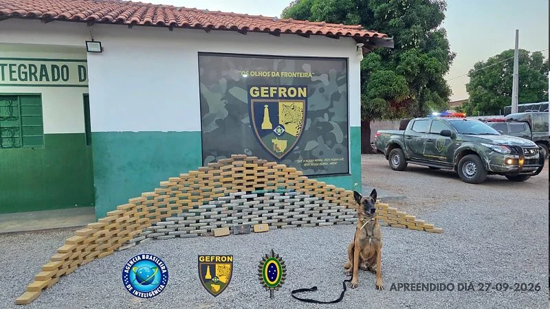 Cão farejador parado para a foto em frente à pilhas de drogas