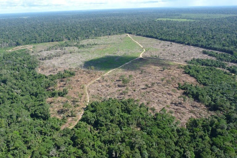 Justiça condena fazendeiro a recuperar área degradada em Mato Grosso