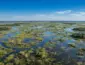 Sema-MT prorroga por 60 dias estudos técnicos sobre critérios para autuações remotas em áreas campestres do Pantanal