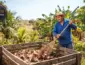 A Solução no quintal: O que fazer com as folhas secas sem recorrer ao fogo