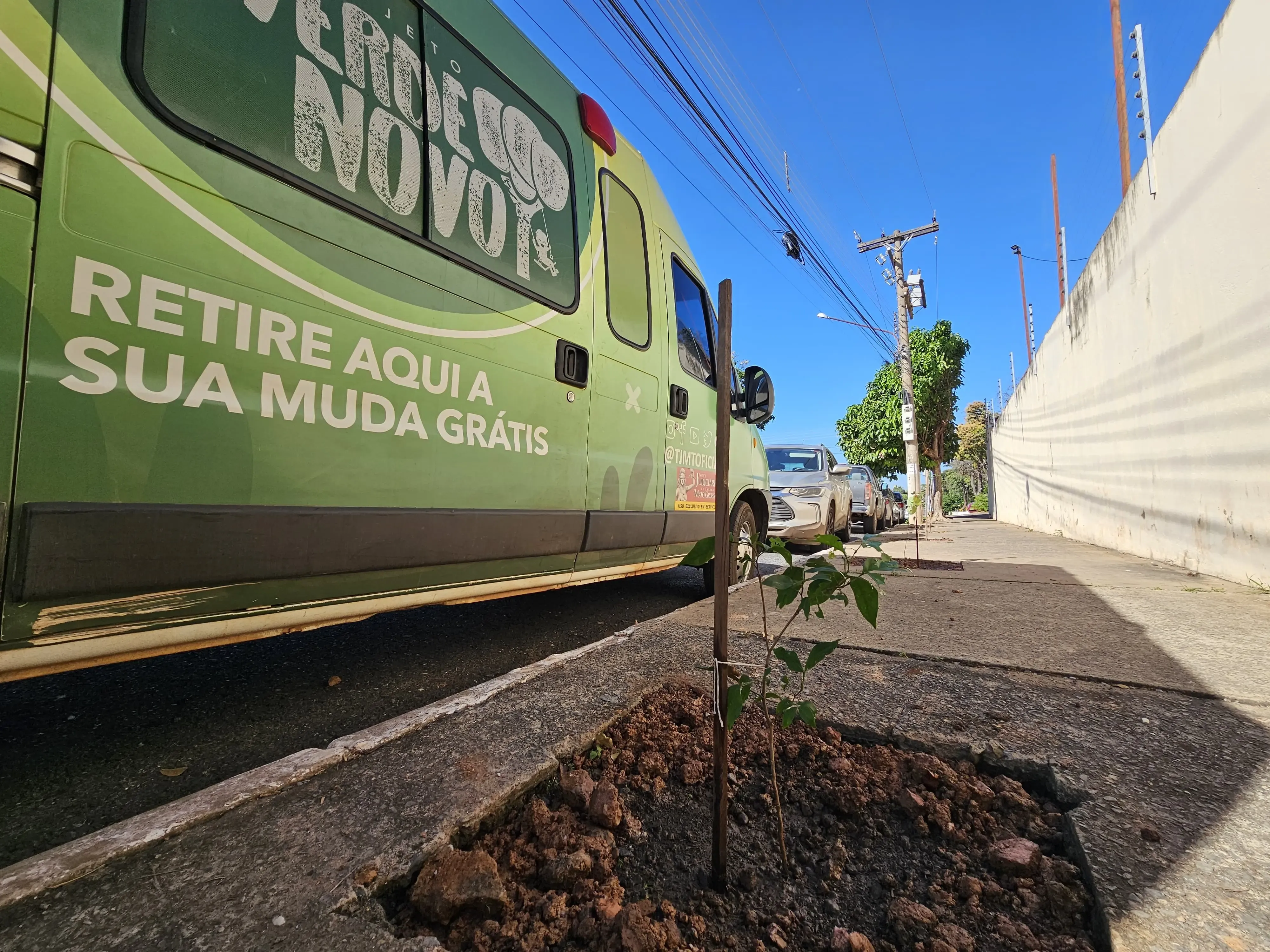 Especialistas reforçam a importância da arborização em Cuiabá
