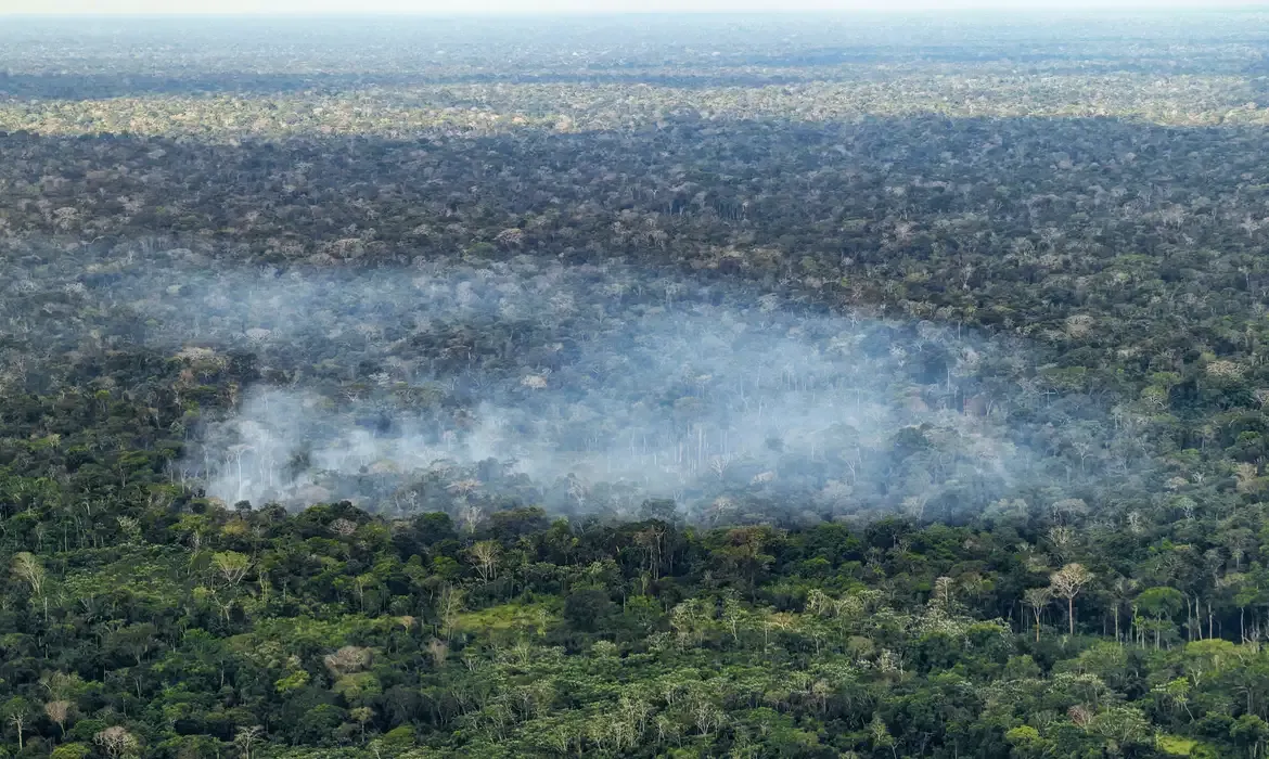Amazônia tem emissões de carbono impulsionadas por humanos