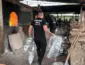 Polícia Civil incinera mais de 400 kg de drogas na fronteira em Cáceres