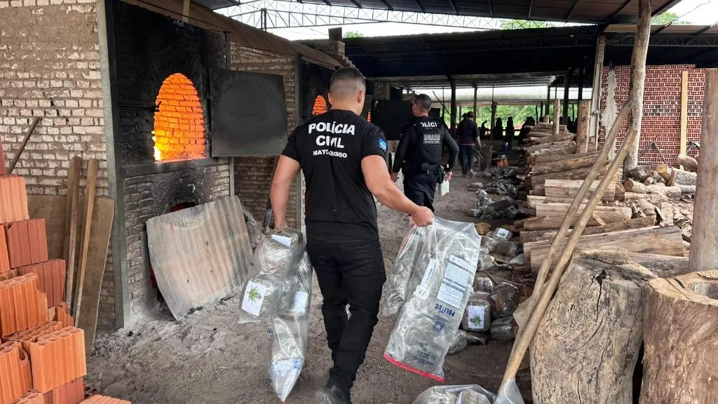 Polícia Civil incinera mais de 400 kg de drogas na fronteira em Cáceres