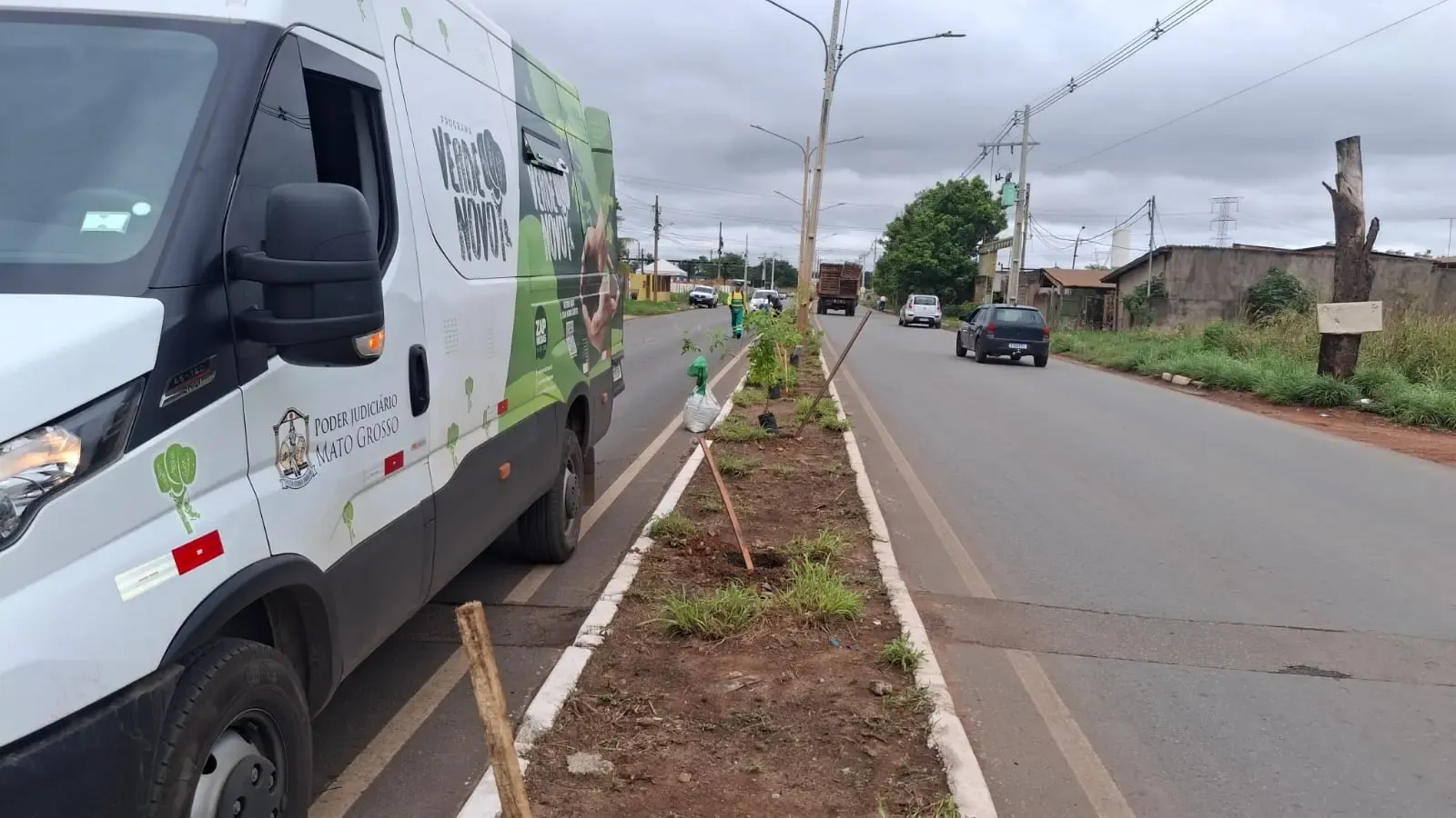 Arborização urbana avança com 1.348 mudas em Cuiabá