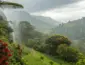 Chuva avança em MT nesta quarta-feira (28); veja sua cidade