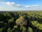 Desmatamento evitado na Amazônia e no Cerrado reduziu emissões