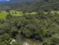 Vegetação nativa fragmentada no Brasil cai 43% em 38 anos