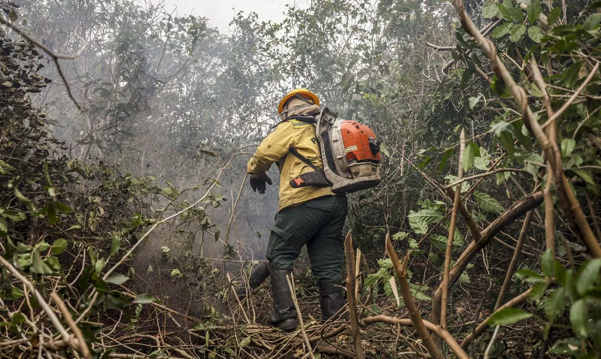 Incêndios no Amazonas podem ter origem em ação criminosa