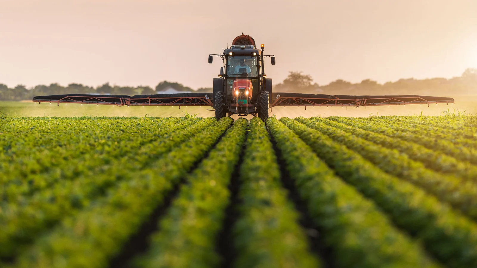 Adjuvantes agrícolas podem reduzir perdas de pulverização em Mato Grosso