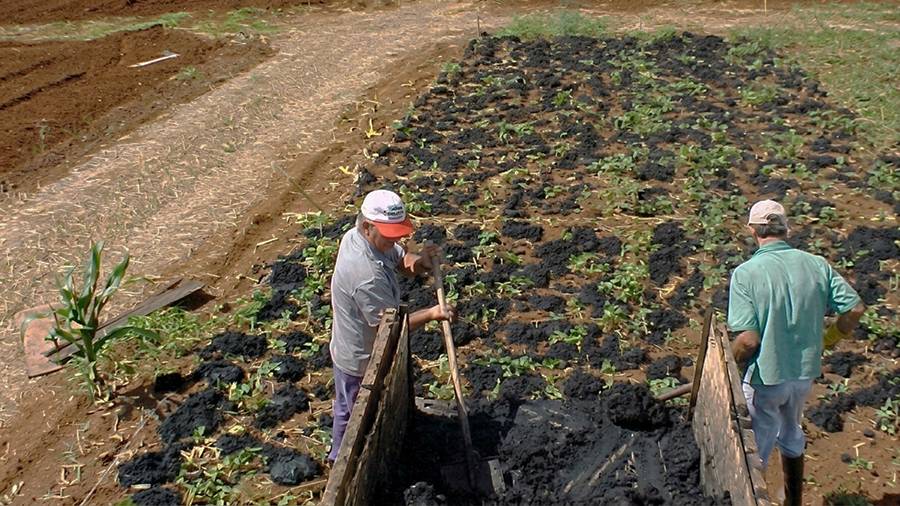 Embrapa transforma resíduo do tratamento de água em fertilizante de liberação lenta