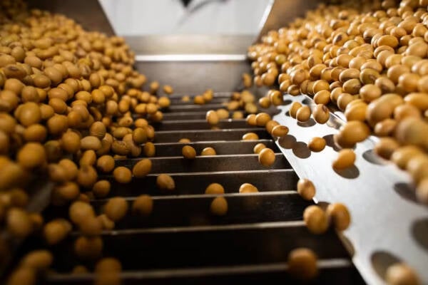 Imea afirma que avanço do esmagamento demonstra o potencial de Mato Grosso para transformar parte da produção
